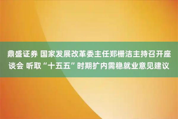 鼎盛证券 国家发展改革委主任郑栅洁主持召开座谈会 听取“十五五”时期扩内需稳就业意见建议