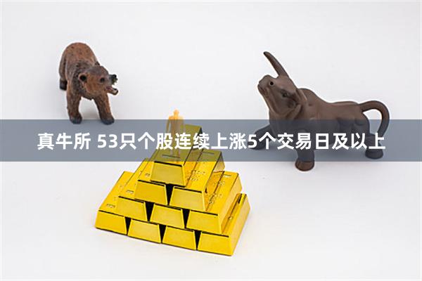 真牛所 53只个股连续上涨5个交易日及以上