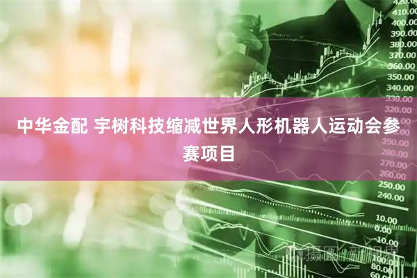 中华金配 宇树科技缩减世界人形机器人运动会参赛项目