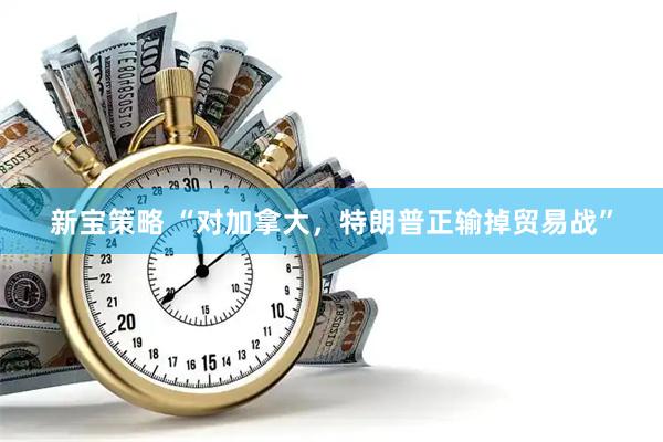 新宝策略 “对加拿大，特朗普正输掉贸易战”